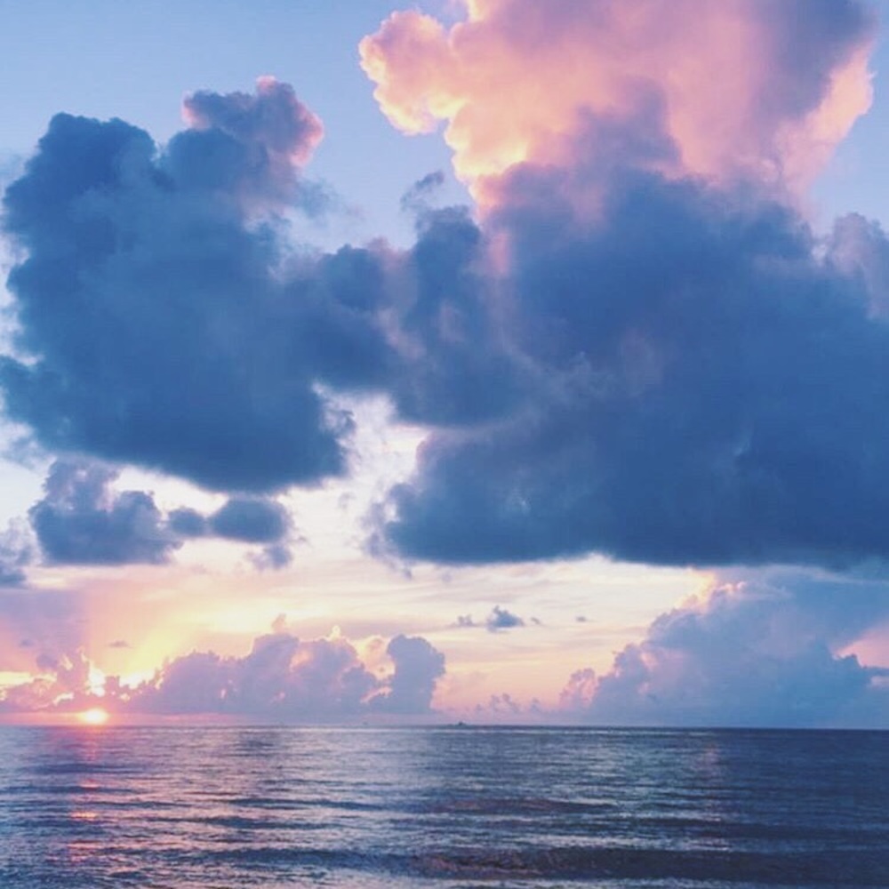 Meet your Posher, Natasha